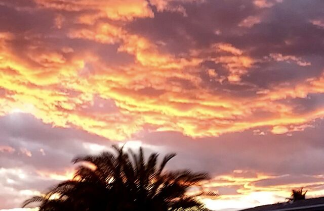 Linda Egli - Lake Havasu City, AZ
